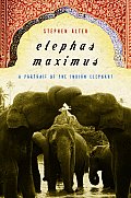 Elephas Maximus A Portrait of the Indian Elephant