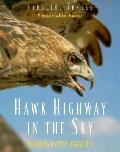 Hawk Highway In The Sky