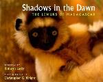 Shadows In The Dawn The Lemurs Of Madagascar