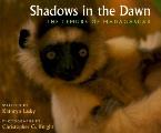 Shadows In The Dawn The Lemurs Of Madagascar