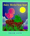 Baby Birds First Nest