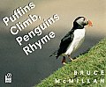 Puffins Climb Penguins Rhyme