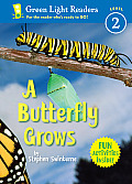 Butterfly Grows