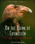 On the Brink of Extinction The California Condor