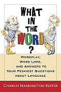 What in the Word?: Wordplay, Word Lore, and Answers to Your Peskiest Questions about Language