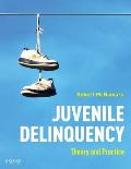 Juvenile Delinquency: Theory to Practice