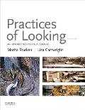 Practices of Looking an Introduction to Visual Culture Third Edition