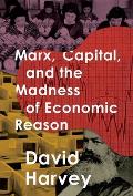 Marx Capital & the Madness of Economic Reason