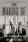 Making of Black Lives Matter A Brief History of an Idea