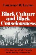 Black Culture & Black Consciousness