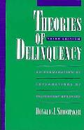 Theories Of Delinquency 3rd Edition