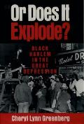 Or Does It Explode?: Black Harlem in the Great Depression