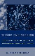 Tissue Engineering Engineering Principles for the Design of Replacement Organs & Tissues