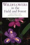 Wildflowers in the Field and Forest: A Field Guide to the Northeastern United States