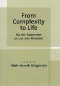 From Complexity to Life: On the Emergence of Life and Meaning