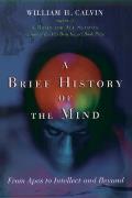 Brief History Of The Mind From Apes To Intellect & Beyond