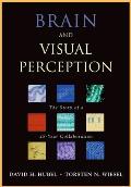 Brain and Visual Perception: The Story of a 25-Year Collaboration