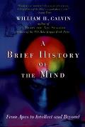 Brief History Of The Mind From Apes To I