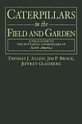 Caterpillars In The Field & Garden A Field Guide to the Butterfly Caterpillars of North America