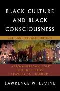 Black Culture & Black Consciousness Afro American Folk Thought from Slavery to Freedom