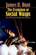 The Evolution of Social Wasps