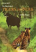 The Illustrated Tigers of India