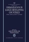 Urbanization in Large Developing Countries: China, Indonesia, Brazil, and India