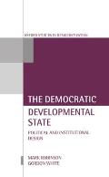 The Democratic Developmental State: Political and Institutional Design