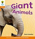 Oxford Reading Tree: Level 6: Floppy's Phonics Non-Fiction: Giant Animals