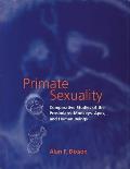 Primate Sexuality Comparative Studies