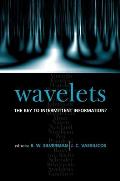 Wavelets: The Key to Intermittent Information