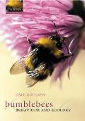 Bumblebees Their Behaviour & Ecology