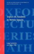 Topics on Analysis in Metric Spaces