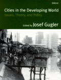 Cities in the Developing World: Issues, Theory, and Policy