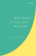 Why Does Inequality Matter