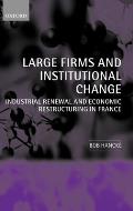 Large Firms and Institutional Change: Industrial Renewal and Economic Restructuring in France