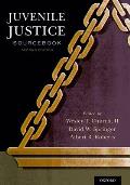 Juvenile Justice Sourcebook