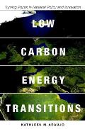 Low Carbon Energy Transitions: Turning Points in National Policy and Innovation