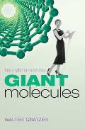 Giant Molecules: From Nylon to Nanotubes