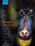 Primate Sexuality Comparative Studies Of The Prosimians Monkeys Apes & Humans