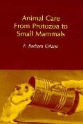 Animal Care From Protozoa To Small Mammals