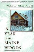 Year In The Maine Woods