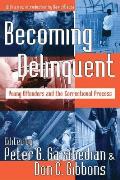 Becoming Delinquent: Young Offenders and the Correctional Process