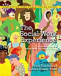 The Social Work Experience: An Introduction to Social Work and Social Welfare Plus Mysearchlab with Etext -- Access Card Package