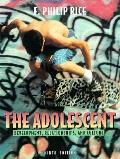 Adolescent Development Relationships 9th Edition