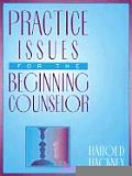 Practice Issues for the Beginning Counselor