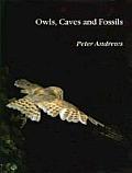 Owls, Caves and Fossils: Predation, Preservation and Accumulation of Small Mammal Bones in Caves, with an Analysis of the Pleistocene Cave Faun