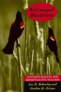 Red Winged Blackbirds Decision Making & Reproductive Success