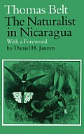 Naturalist In Nicaragua