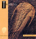 Trilobites 2nd Edition